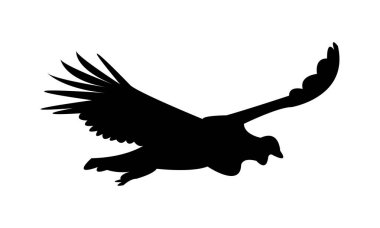 Uçan And Akbaba Kuşu Siluet Tasarım ve Vektör İllüstrasyonu. 