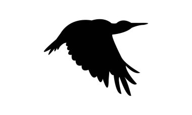 Uçan Andean titrek kuş silueti tasarım ve vektör ilüstrasyonu. 