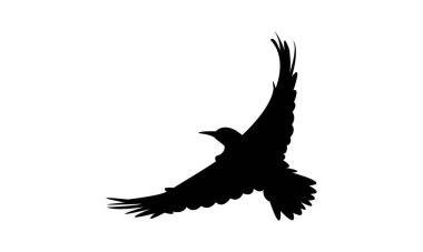 Uçan Andean titrek kuş silueti tasarım ve vektör ilüstrasyonu. 