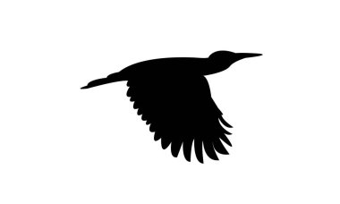 Uçan Andean titrek kuş silueti tasarım ve vektör ilüstrasyonu. 