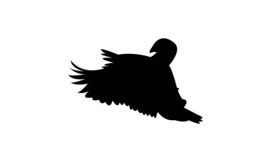 Uçan Kaz Kaz Kuşu Siluet Tasarım ve Vektör İllüstrasyonu. 