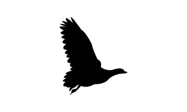 Uçan Kaz Kaz Kuşu Siluet Tasarım ve Vektör İllüstrasyonu. 