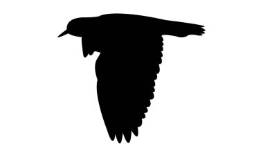 Uçan Andean kanatlı kuş silueti tasarım ve vektör ilüstrasyonu. 