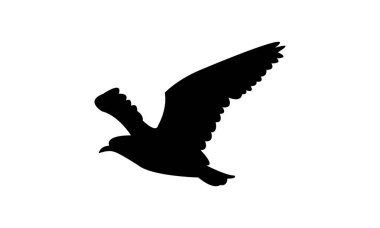 Uçan Andean kanatlı kuş silueti tasarım ve vektör ilüstrasyonu. 