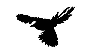 Uçan Andean motmot kuş silueti Tasarım ve Vektör İllüstrasyonu. 