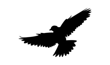 Uçan Angola tarlakuşu silueti Tasarım ve Vektör İllüstrasyonu. 