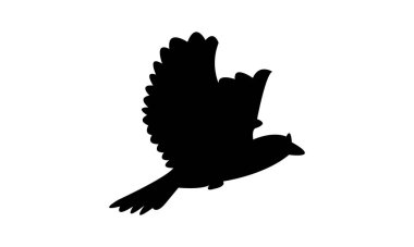 Uçan Angola tarlakuşu silueti Tasarım ve Vektör İllüstrasyonu. 