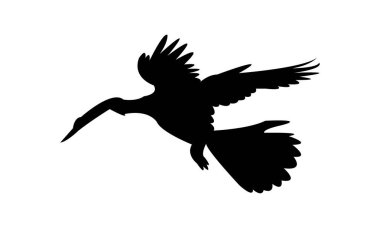 Uçan Anhinga kuş silueti tasarım ve vektör çizimi. 