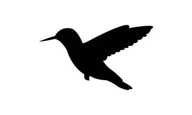 Flying Anna's hummingbird Silhouette Design And Vector Illustration. 