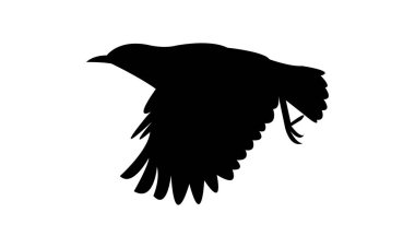 Uçan Karınca Yeme Sohbeti Kuş Silueti Tasarım ve Vektör Resimleri. 