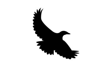 Uçan Karınca Yeme Sohbeti Kuş Silueti Tasarım ve Vektör Resimleri. 