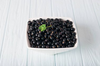 Yaprak sapı ile ahşap masa üzerinde Siyah frenk üzümü