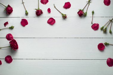 Beyaz ahşap yüzey üzerinde taze kırmızı gül çiçekler