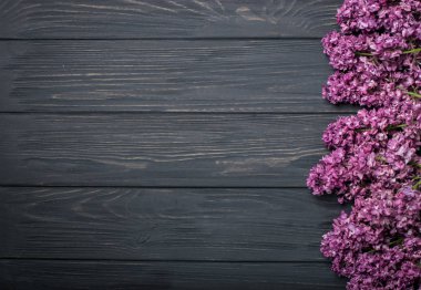 Koyu ahşap arka plan üzerinde güzel Eflatun çiçekler