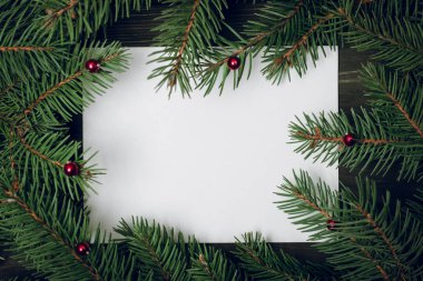 Kağıt kartla Noel ağacı dallarından yapılmış yaratıcı bir düzen. Düz yatıyordu. Doğa Yeni Yıl Konsepti.