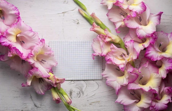 Gladiolus Virágok Rusztikus Felülettel — Stock Fotó