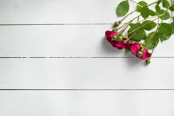 Flores Vermelhas Frescas Rosa Superfície Madeira Branca — Fotografia de Stock