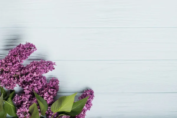 Flores da Primavera. Flores de lilás sobre fundo de madeira branca. Vista superior, flat lay — Fotografia de Stock