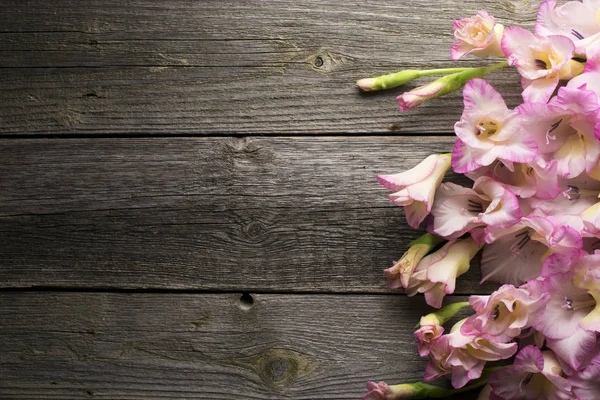 质朴的木质表面上的龙舌兰花 — 图库照片