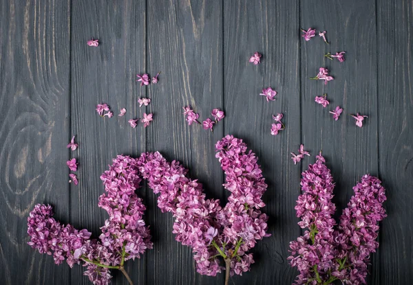 गडद लाकडी पार्श्वभूमीवर सुंदर लिलाक फुले — स्टॉक फोटो, इमेज