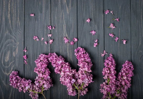 As belas flores lilás em um fundo de madeira escura — Fotografia de Stock