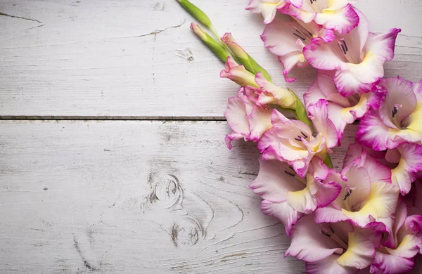 Gladíolo Flores Superfície Madeira Rústica — Fotografia de Stock