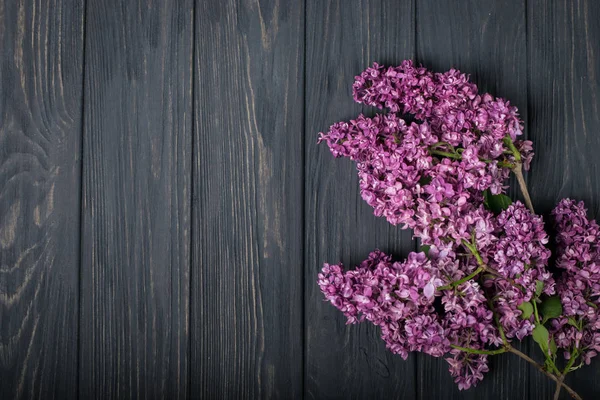 As belas flores lilás em um fundo de madeira escura — Fotografia de Stock