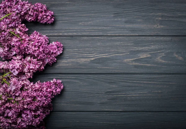 As belas flores lilás em um fundo de madeira escura — Fotografia de Stock