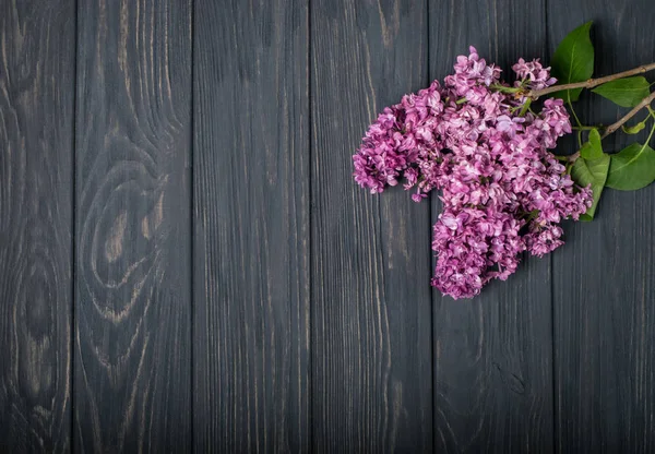 As belas flores lilás em um fundo de madeira escura — Fotografia de Stock