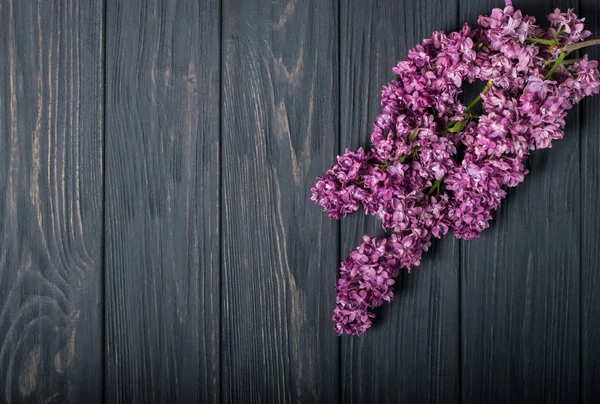 As belas flores lilás em um fundo de madeira escura — Fotografia de Stock