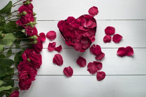 kalp şeklinde çiçek yaprakları gül beyaz yüzeyi ile dolu kutu