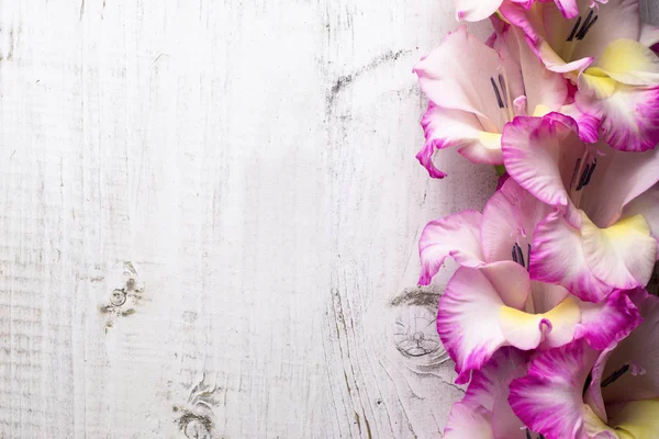 Glayöl çiçek rustik ahşap yüzey üzerinde