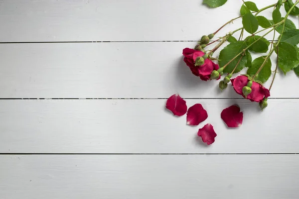 Beyaz ahşap yüzey üzerinde taze kırmızı gül çiçekler