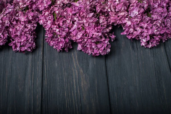 As belas flores lilás em um fundo de madeira escura — Fotografia de Stock