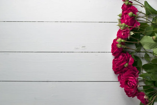Flores Vermelhas Frescas Rosa Superfície Madeira Branca — Fotografia de Stock