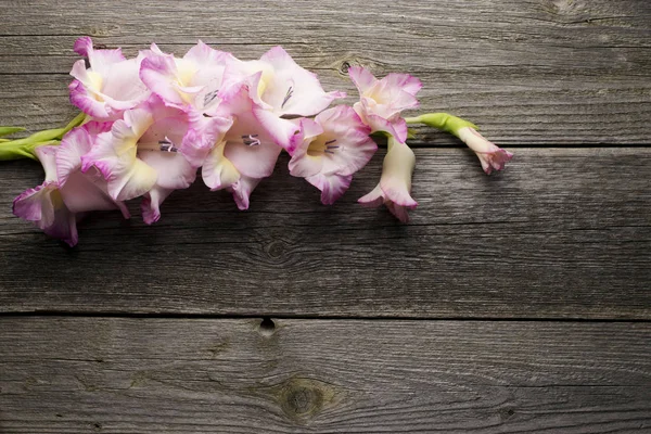 Gladíolo Flores Superfície Madeira Rústica — Fotografia de Stock