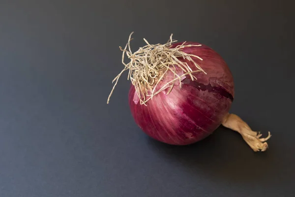 Mor soğan, koyu arka planda lezzetli bitki