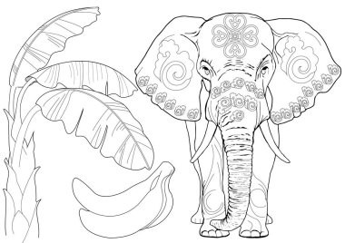 Sanat terapisi için boyama. Asya 'nın hayvanları ve çiçekleri. Renkli sayfalarla dolu bir dünya turu ile rahatlatıcı ve eğitici bir yolculuk.