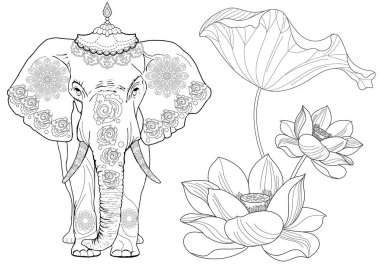 Sanat terapisi için boyama. Asya 'nın hayvanları ve çiçekleri. Renkli sayfalarla dolu bir dünya turu ile rahatlatıcı ve eğitici bir yolculuk.