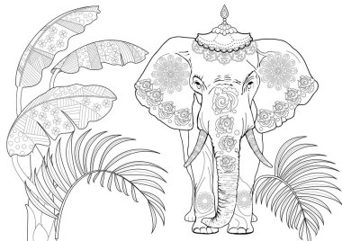 Sanat terapisi için boyama. Asya 'nın hayvanları ve çiçekleri. Renkli sayfalarla dolu bir dünya turu ile rahatlatıcı ve eğitici bir yolculuk.