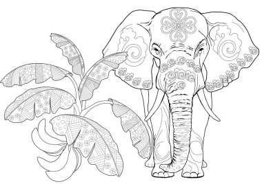 Sanat terapisi için boyama. Asya 'nın hayvanları ve çiçekleri. Renkli sayfalarla dolu bir dünya turu ile rahatlatıcı ve eğitici bir yolculuk.