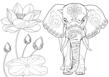 Sanat terapisi için boyama. Asya 'nın hayvanları ve çiçekleri. Renkli sayfalarla dolu bir dünya turu ile rahatlatıcı ve eğitici bir yolculuk.