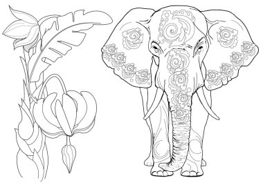 Sanat terapisi için boyama. Asya 'nın hayvanları ve çiçekleri. Renkli sayfalarla dolu bir dünya turu ile rahatlatıcı ve eğitici bir yolculuk.