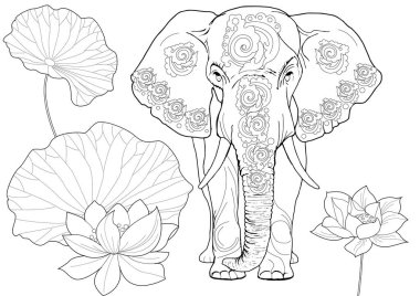 Sanat terapisi için boyama. Asya 'nın hayvanları ve çiçekleri. Renkli sayfalarla dolu bir dünya turu ile rahatlatıcı ve eğitici bir yolculuk.