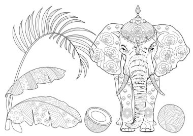 Sanat terapisi için boyama. Asya 'nın hayvanları ve çiçekleri. Renkli sayfalarla dolu bir dünya turu ile rahatlatıcı ve eğitici bir yolculuk.