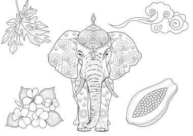 Sanat terapisi için boyama. Asya 'nın hayvanları ve çiçekleri. Renkli sayfalarla dolu bir dünya turu ile rahatlatıcı ve eğitici bir yolculuk.