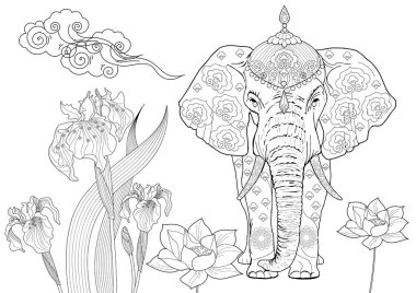 Sanat terapisi için boyama. Asya 'nın hayvanları ve çiçekleri. Renkli sayfalarla dolu bir dünya turu ile rahatlatıcı ve eğitici bir yolculuk.