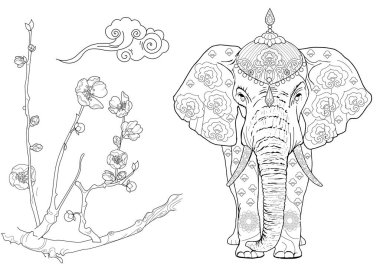 Sanat terapisi için boyama. Asya 'nın hayvanları ve çiçekleri. Renkli sayfalarla dolu bir dünya turu ile rahatlatıcı ve eğitici bir yolculuk.