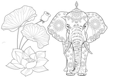 Sanat terapisi için boyama. Asya 'nın hayvanları ve çiçekleri. Renkli sayfalarla dolu bir dünya turu ile rahatlatıcı ve eğitici bir yolculuk.