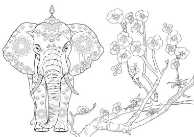 Sanat terapisi için boyama. Asya 'nın hayvanları ve çiçekleri. Renkli sayfalarla dolu bir dünya turu ile rahatlatıcı ve eğitici bir yolculuk.